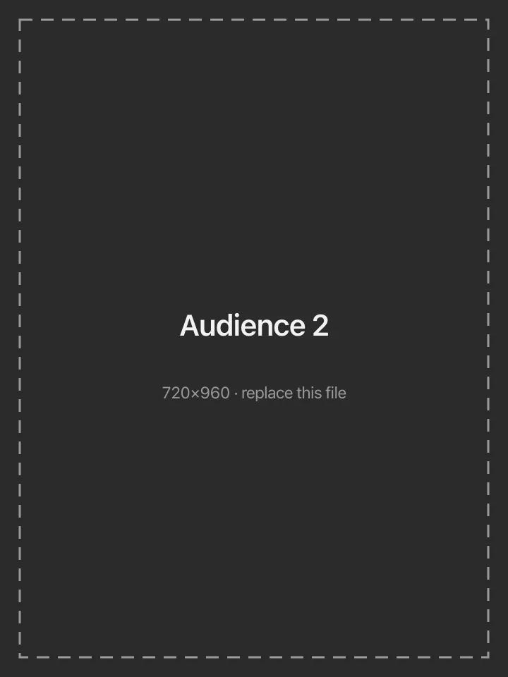 Audience 2 placeholder