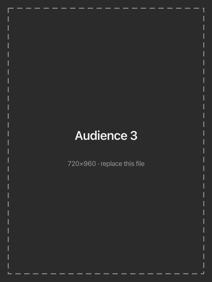 Audience 3 placeholder