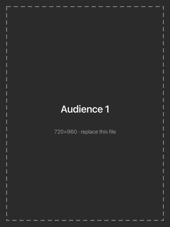 Audience 1 placeholder